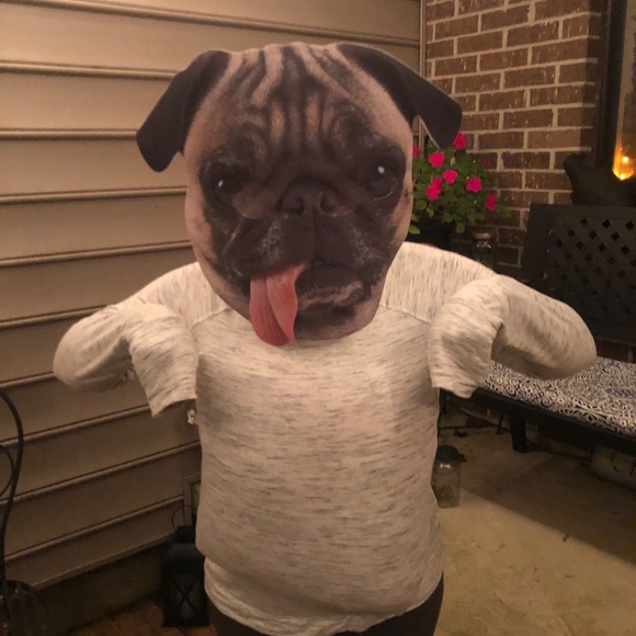 Meet your Posher, Joshua - Picture 1 of 1